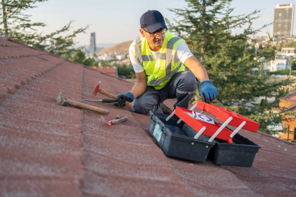 Best Fiber Cement Siding Installation  in Viola, IL